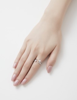 戒指•  灵动锆石系列 Diamond Spirit Ring全钻双圈戒指